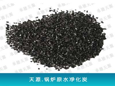 电厂循环水净化处理